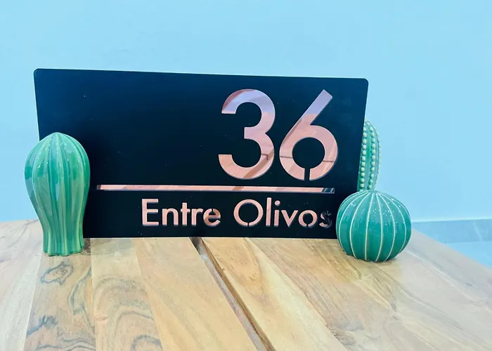 Entre Olivos
